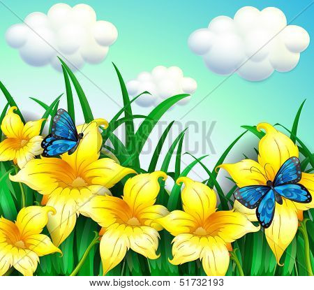 Illustration of a garden with yellow flowers and blue butterflies