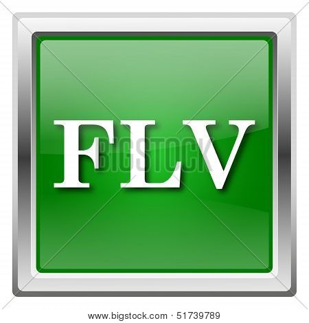 Flv Icon