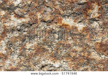 Detail Of A Rock