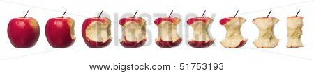 Red apples in progress towards white background