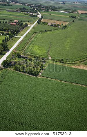 airview of the field