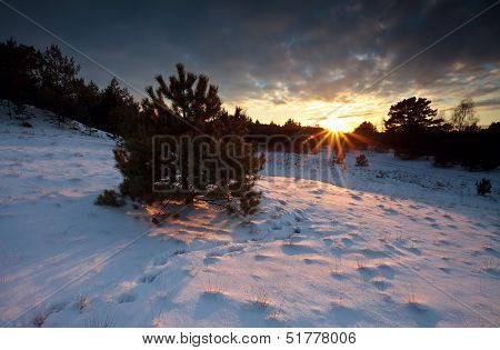 Sunbeams At Sunset Over Forest In Snow