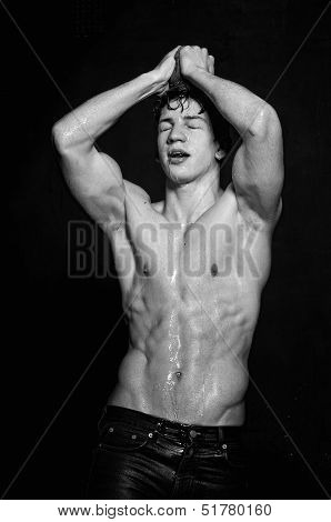 Wet Model