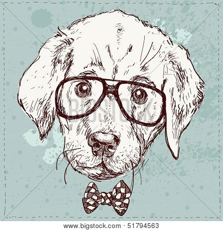 Cute Fashion Hipster Animals Pets, Set Of Vector Icons