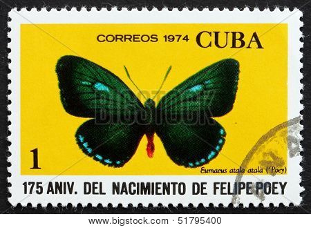 Postage Stamp Cuba 1974 Atala, Butterfly