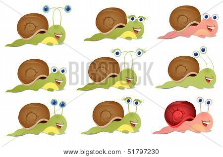Set of three snails