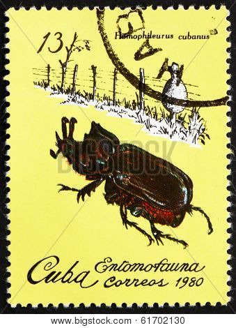 Postage Stamp Cuba 1980 Homophileurus Cubanus, Insect