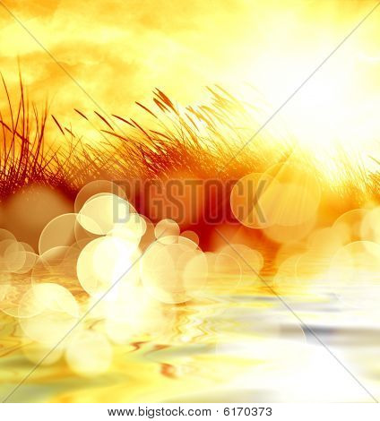 Marram 草