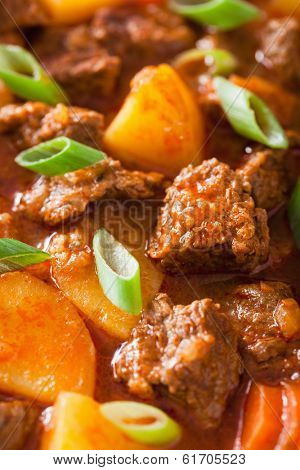beef stew with potato and carrot