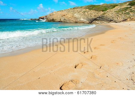 Blue And Golden Shore