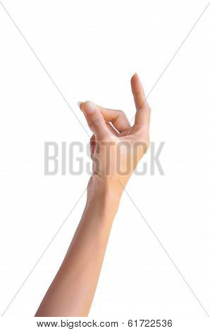 Woman Hand