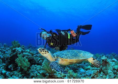 Scuba Diver and Sea Turtle