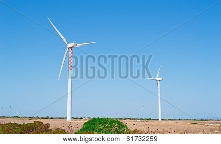 Eolic Blades