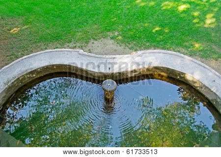 Fountain Pool