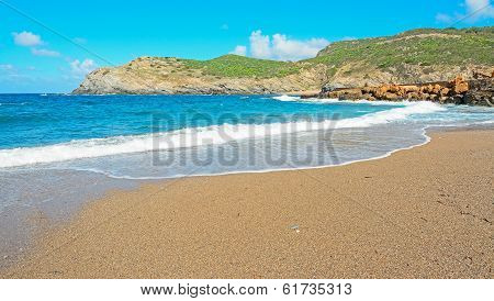 Golden Shore