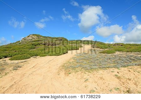 Green Hill And Blue Sky