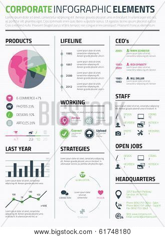 Corporate infographic resume elements to display data template vector