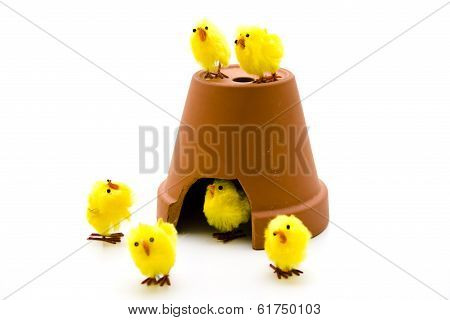 Easter fledglings with Pfanzentopf