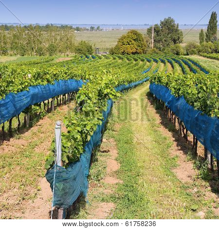 Burgenland, Austria