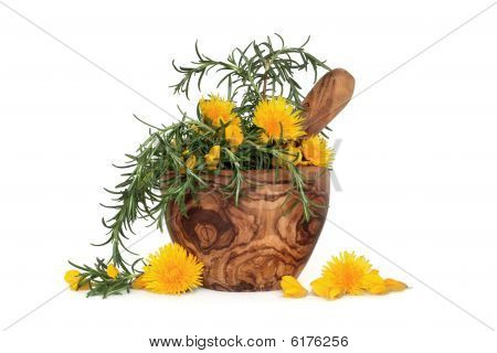 Rosemary Herb And Wild Flowers