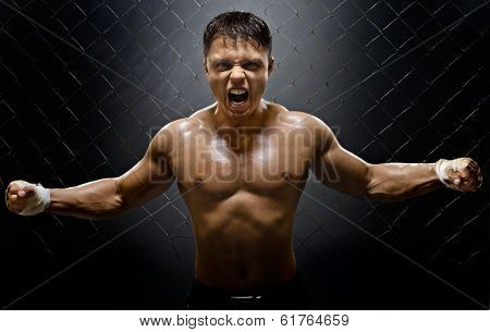 Fighter