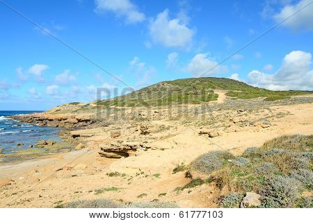 Hill By The Sea