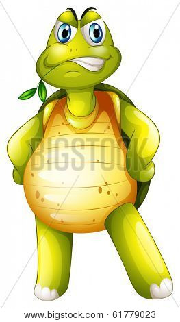 Illustration of a turtle standing alone on a white background