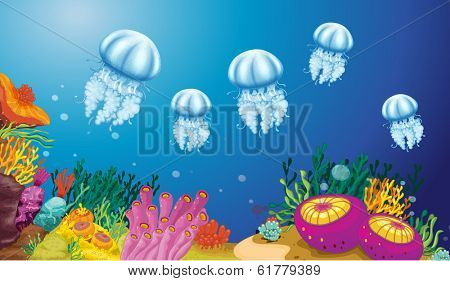Illustration of the underwater creatures