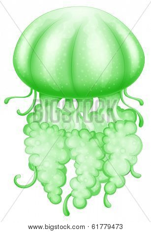Illustration of a green jellyfish on a white background
