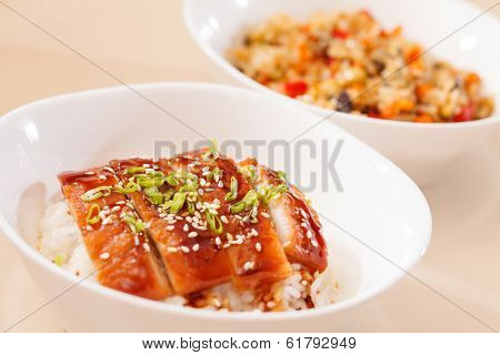 eel on rice,unaju, japanese unagi cuisine