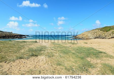 Sand, Plants And Water