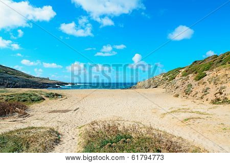 Sandy Coast