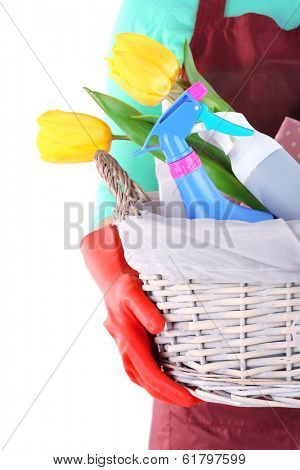Housewife holding basket with cleaning equipment. Conceptual photo of spring cleaning. Isolated on white