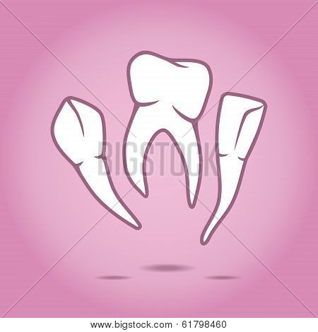Vector illustration of teeth