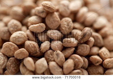 Sarpgandha Seeds (Rauvolfia serpentina)