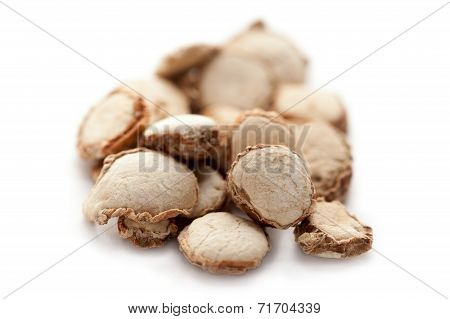 Hedychium spicatum seed