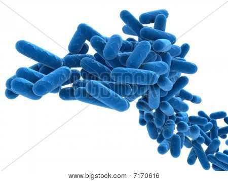 cerca de las bacterias
