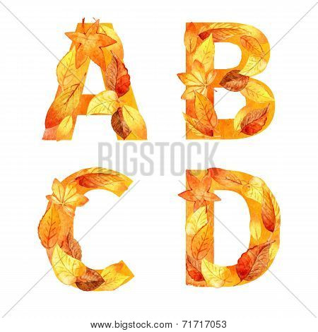 font of autumn leaves. watercolor.