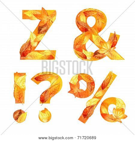 font of autumn leaves. watercolor.