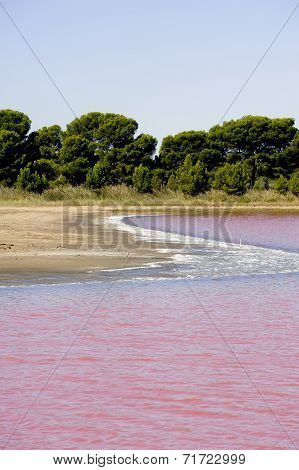 Salt Marshes Of Camargue In Aigues-mortes