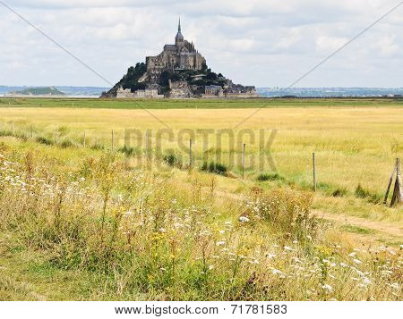 Rural Landscape With Mont Saint-michel Abbey