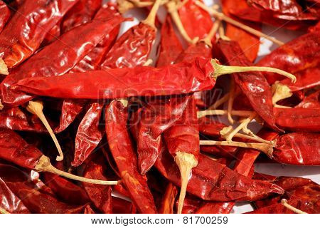 Group of many dried red spicy natural chilly collections
