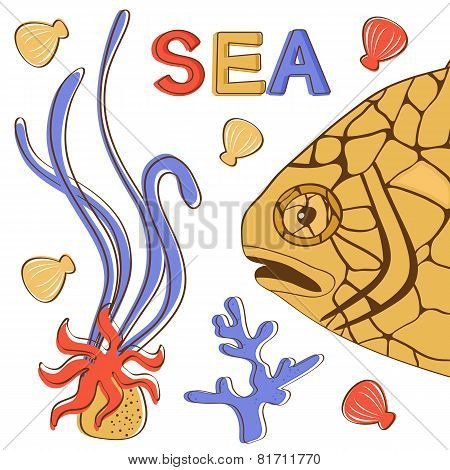 Pinecone fish