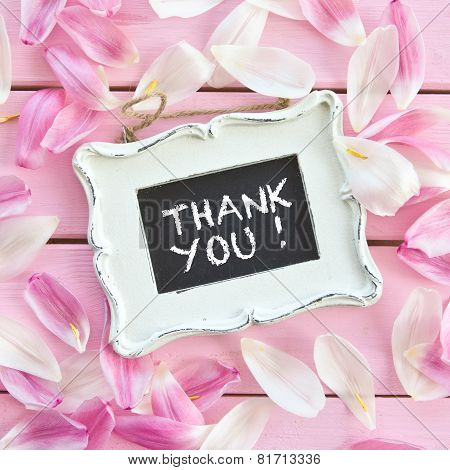Fresh Flower Petals On Pink