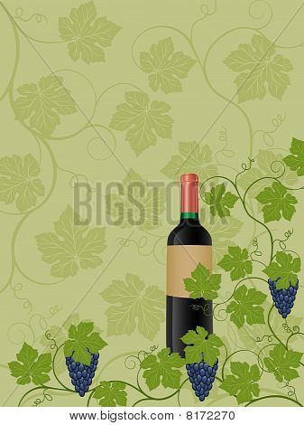 Vin