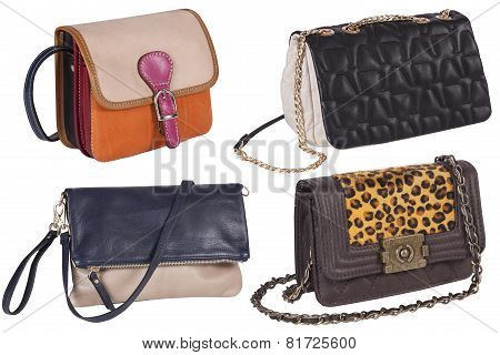 Woman Handbag