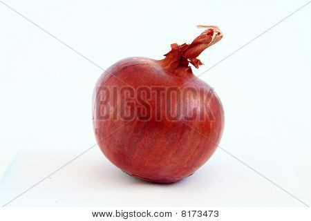 Onion