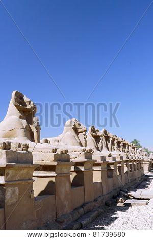 The Karnak Temple , Luxor