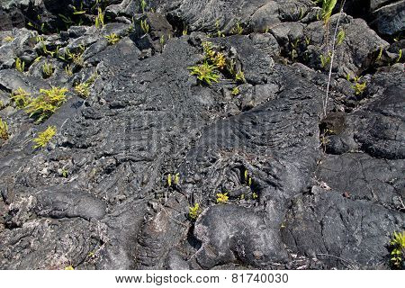 Lava on Reunion, Piton de la Fournaise
