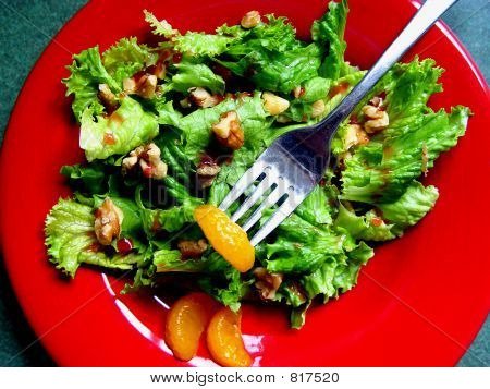 Bright Salad 2